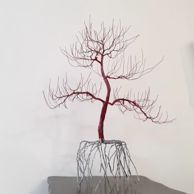 درخت بنسای ژاپنی سفارشی