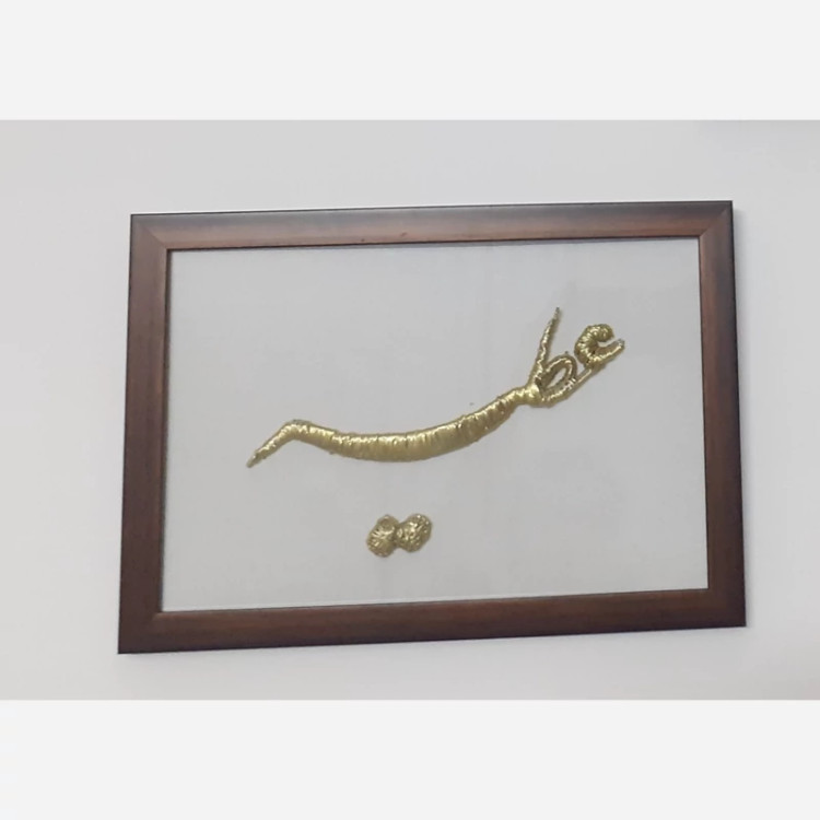 مجسمه سیمی نوشته عطیه